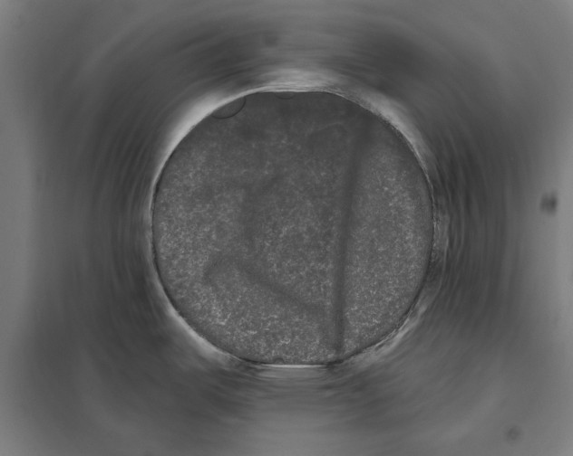 X0000097591487200803280915