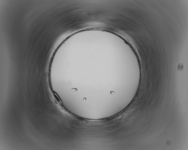 X0000097591488200803280915