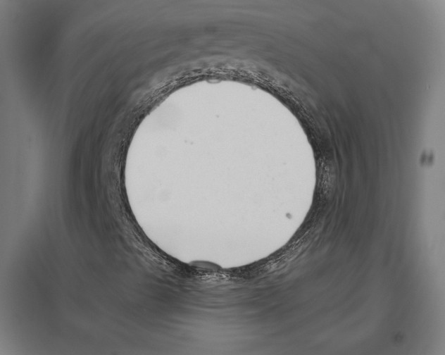 X0000097591489200803280914