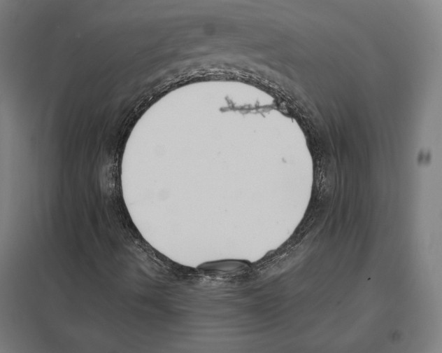 X0000097591490200803280914