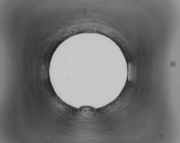 X0000097591491200803280915