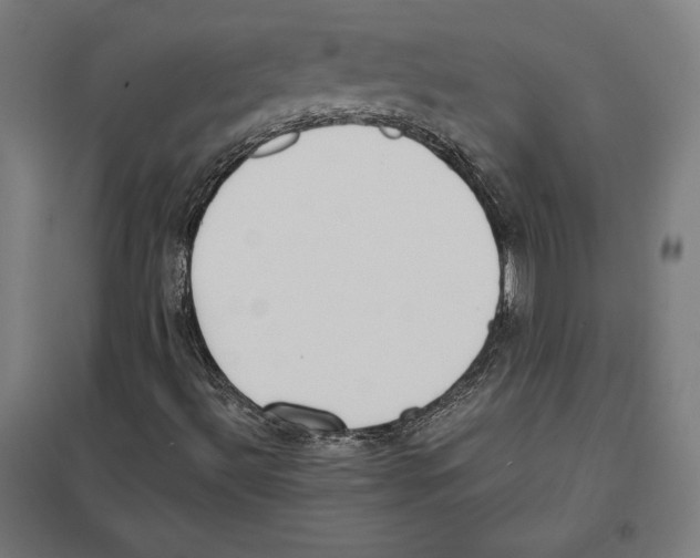 X0000097591492200803280915