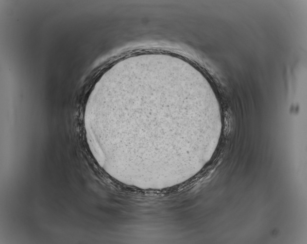 X0000097591494200803280915