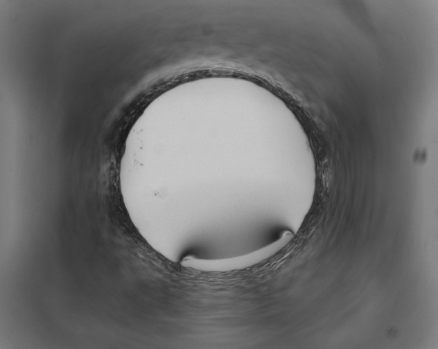 X0000097591495200803280915