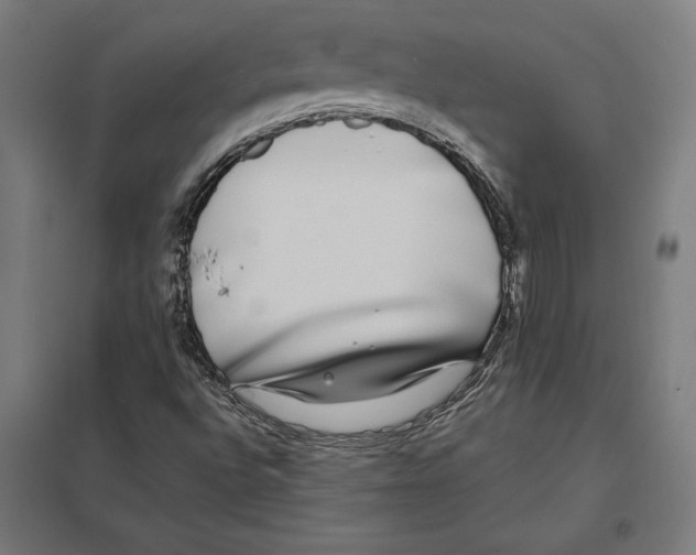 X0000097591496200803280915