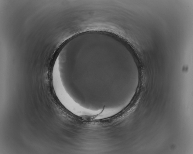 X0000097591497200803280915