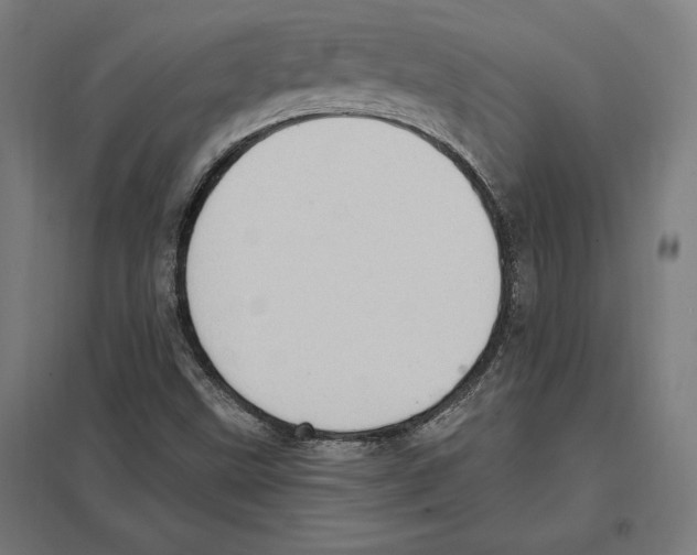 X0000097591499200803280915