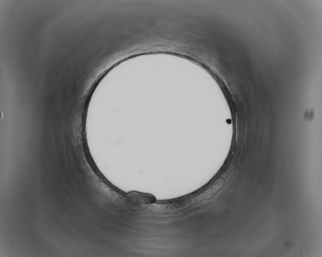 X0000097591500200803280915