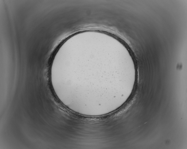 X0000097591501200803280915