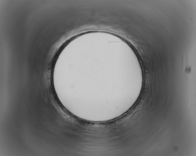 X0000097591503200803280915