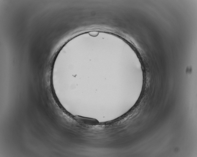 X0000097591504200803280915