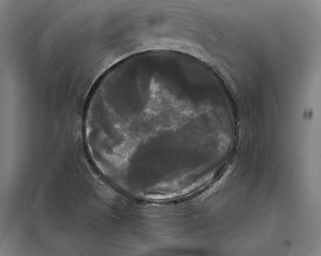 X0000097591505200803280915