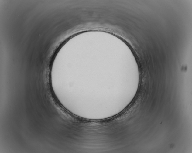 X0000097591507200803280915