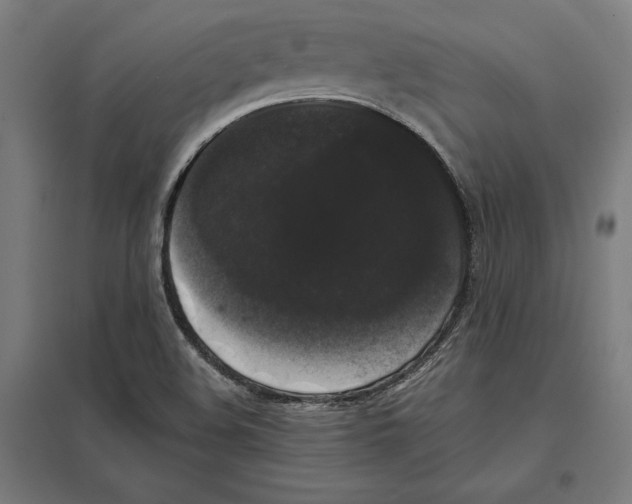 X0000097591508200803280915