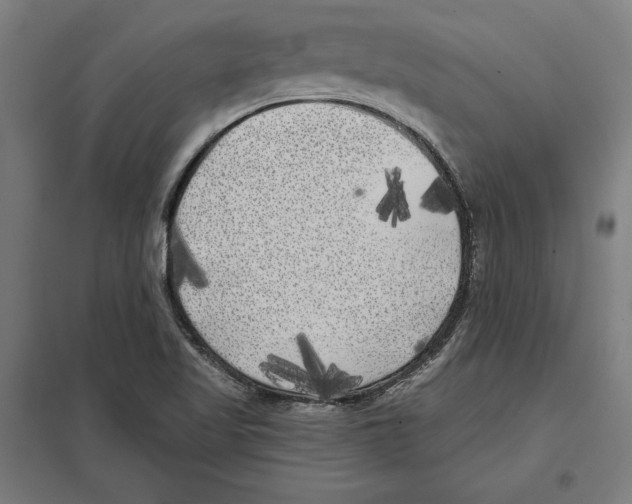 X0000097591509200803280915