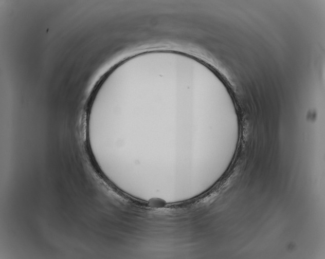 X0000097591510200803280915