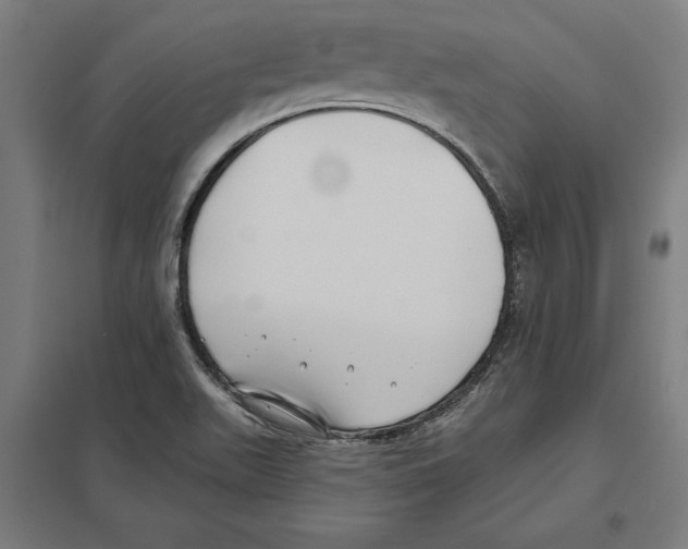 X0000097591511200803280915