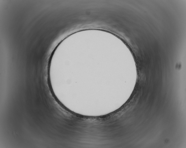 X0000097591512200803280915