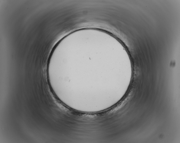 X0000097591513200803280915