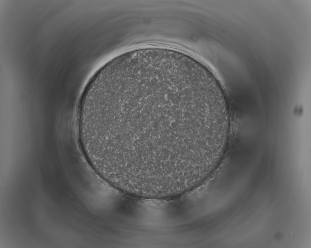 X0000097591514200803280915