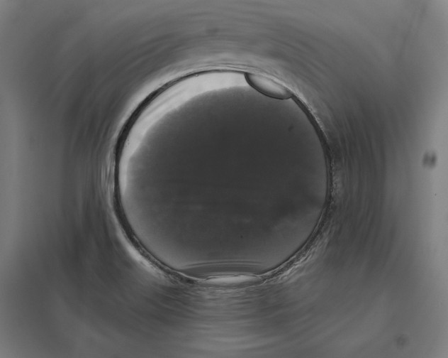 X0000097591515200803280915