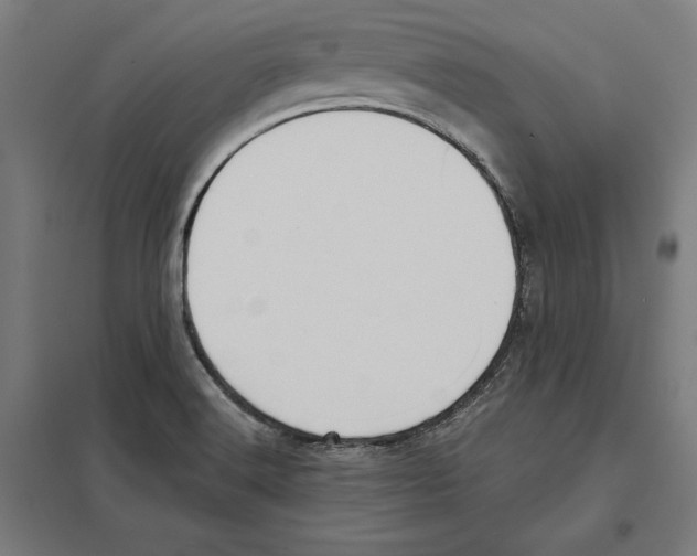 X0000097591516200803280915