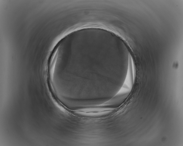 X0000097591519200803280915