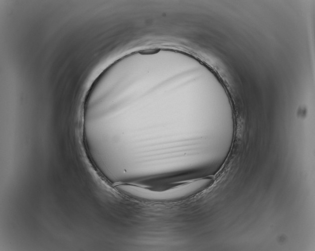 X0000097591520200803280915