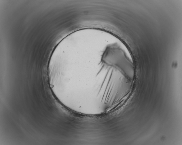 X0000097591521200803280915