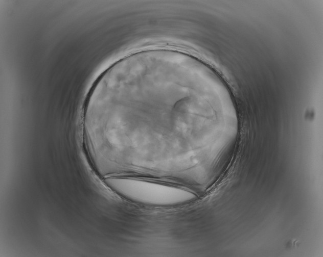 X0000097591522200803280915