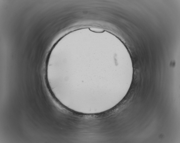 X0000097591523200803280915