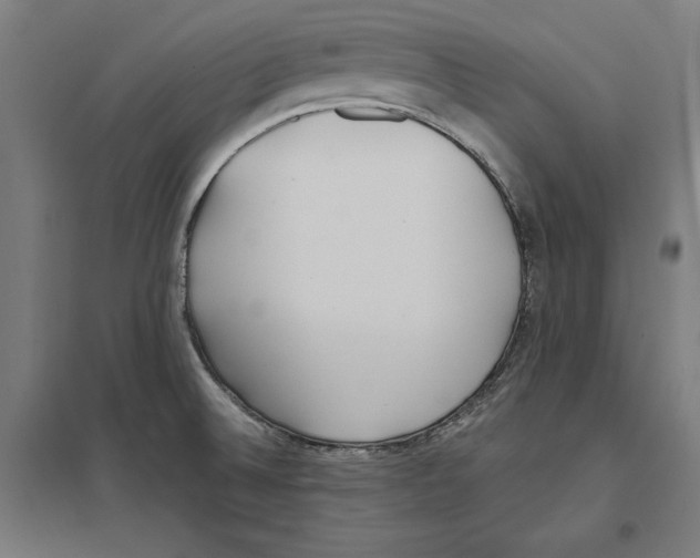 X0000097591524200803280915