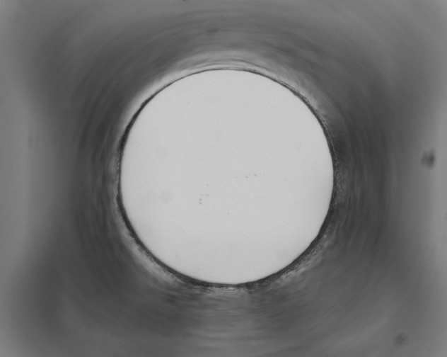 X0000097591526200803280915