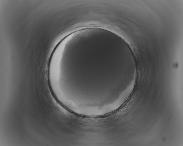 X0000097591527200803280915