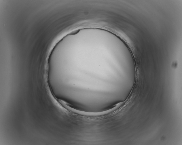 X0000097591528200803280915