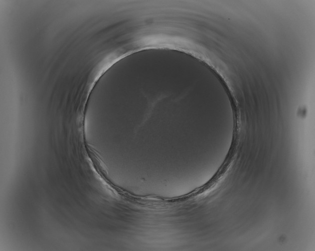 X0000097591529200803280915