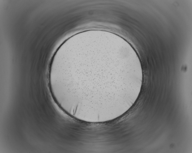 X0000097591531200803280915