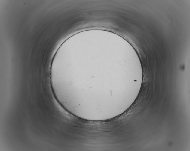 X0000097591532200803280915