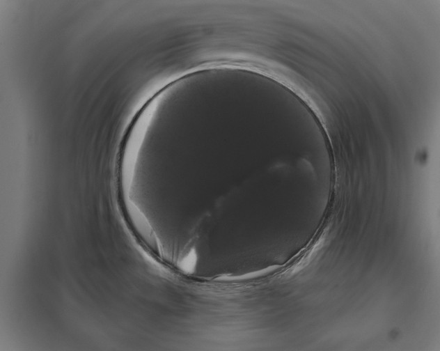 X0000097591533200803280915