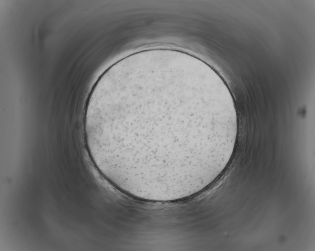 X0000097591534200803280915