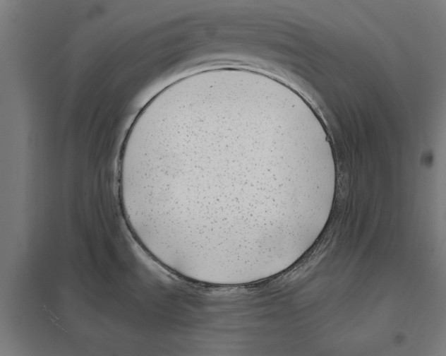 X0000097591535200803280915