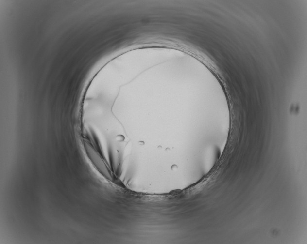 X0000097591536200803280915