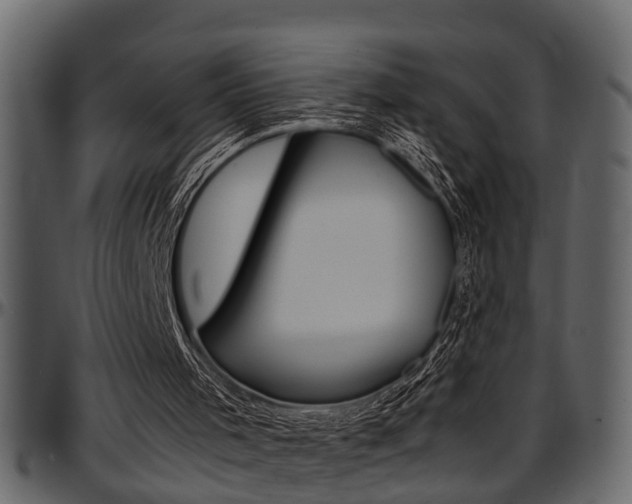 X0000097600001200802290743