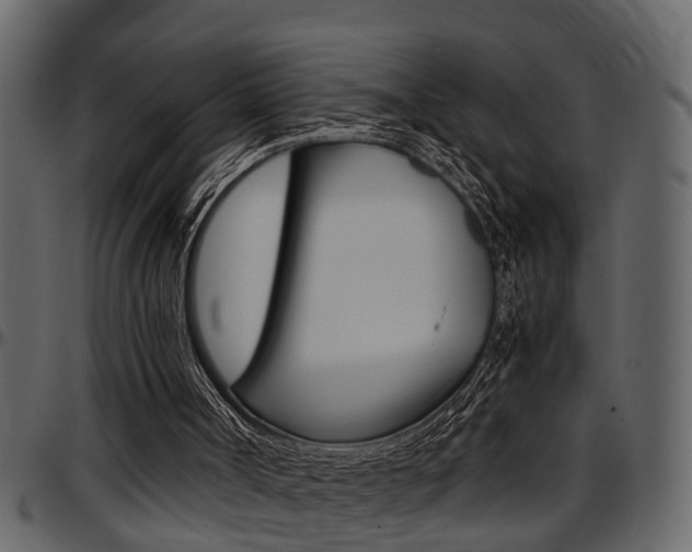 X0000097600002200802290743