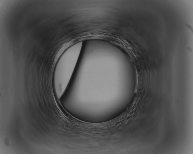 X0000097600003200802290743