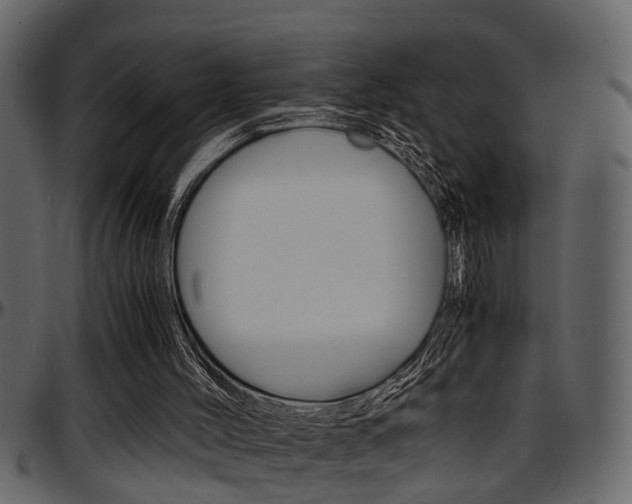 X0000097600004200802290743
