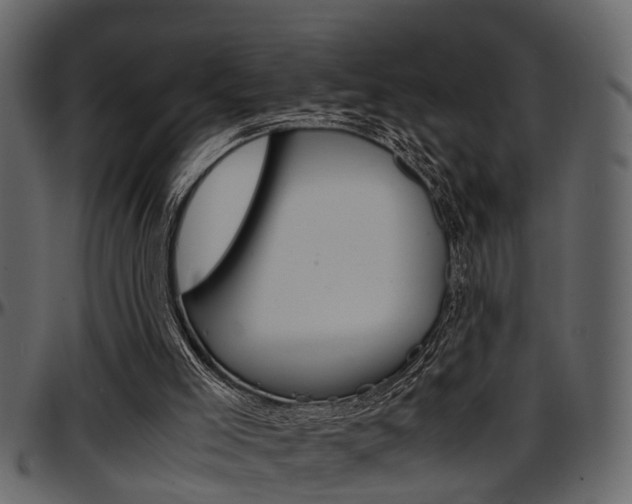 X0000097600005200802290743