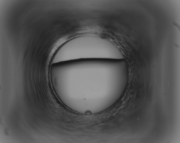 X0000097600006200802290743