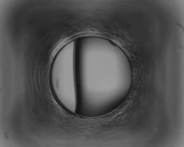 X0000097600007200802290743