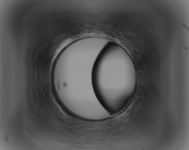 X0000097600008200802290743